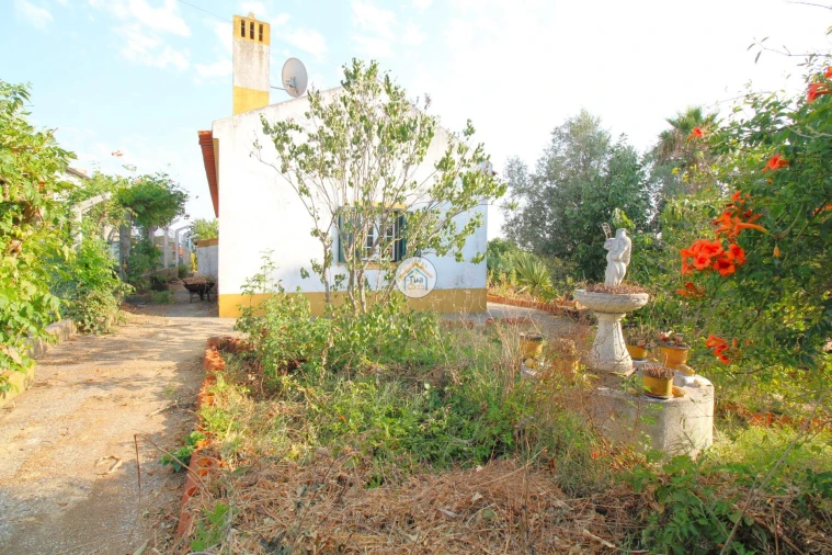 Quinta T2 para Venda em Foros de Vale de Figueira Foto 25