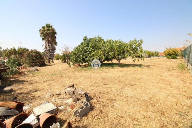 Quinta T2 para Venda em Foros de Vale de Figueira Foto 21