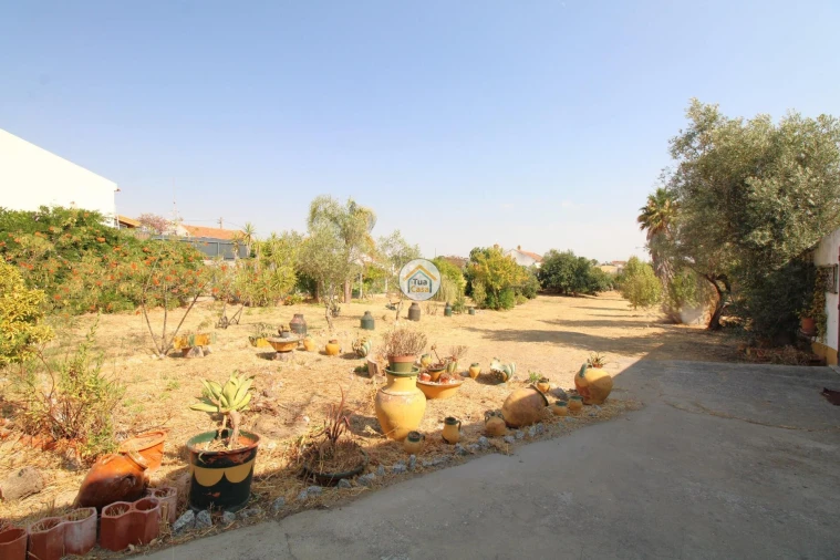 Quinta T2 para Venda em Foros de Vale de Figueira Foto 32