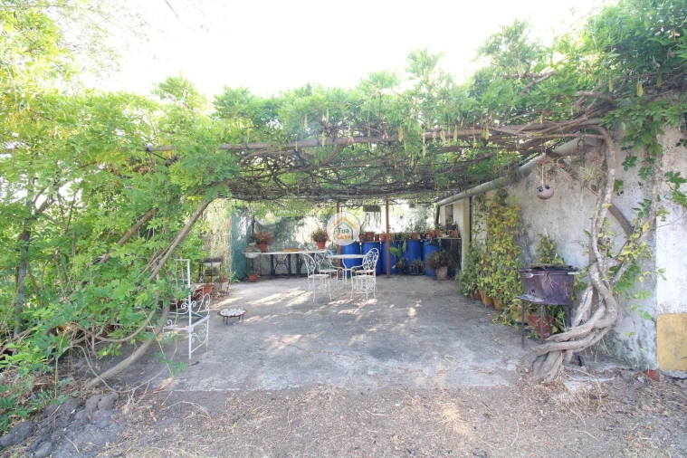 Quinta T2 para Venda em Foros de Vale de Figueira Foto 30