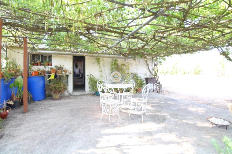 Quinta T2 para Venda em Foros de Vale de Figueira Foto 31