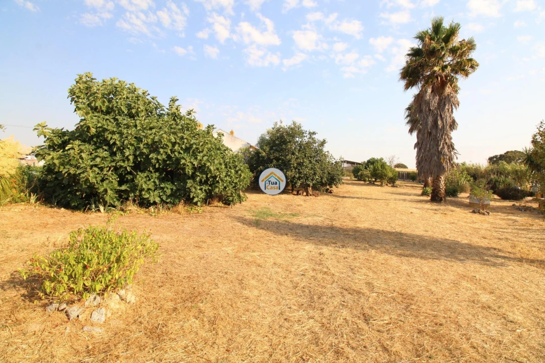 Quinta T2 para Venda em Foros de Vale de Figueira Foto 27