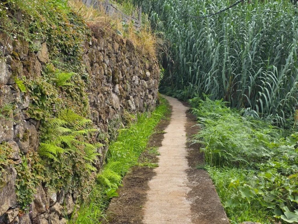 Terreno para Venda em Boa Ventura Foto 16