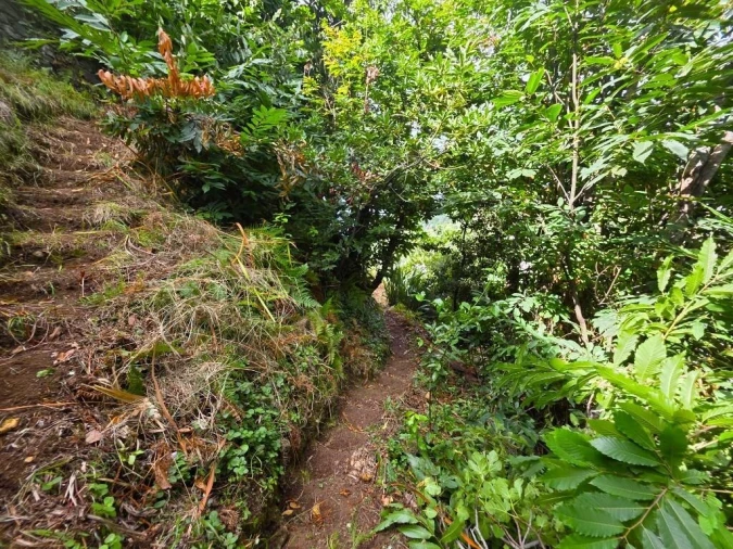 Terreno para Venda em Boa Ventura Foto 8