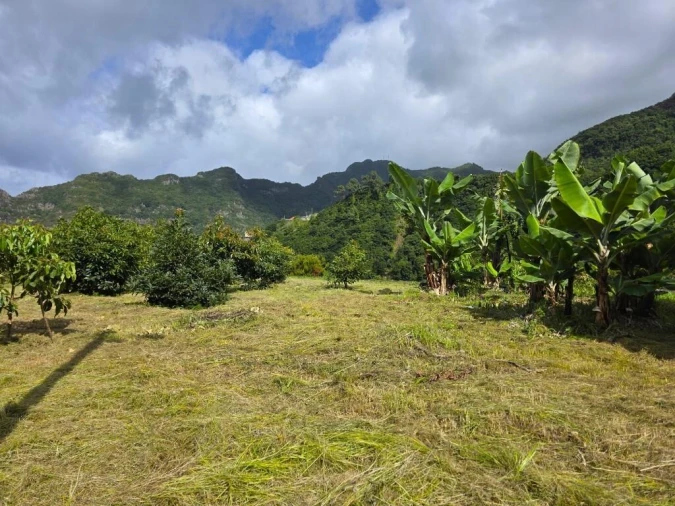 Terreno para Venda em Boa Ventura Foto 6