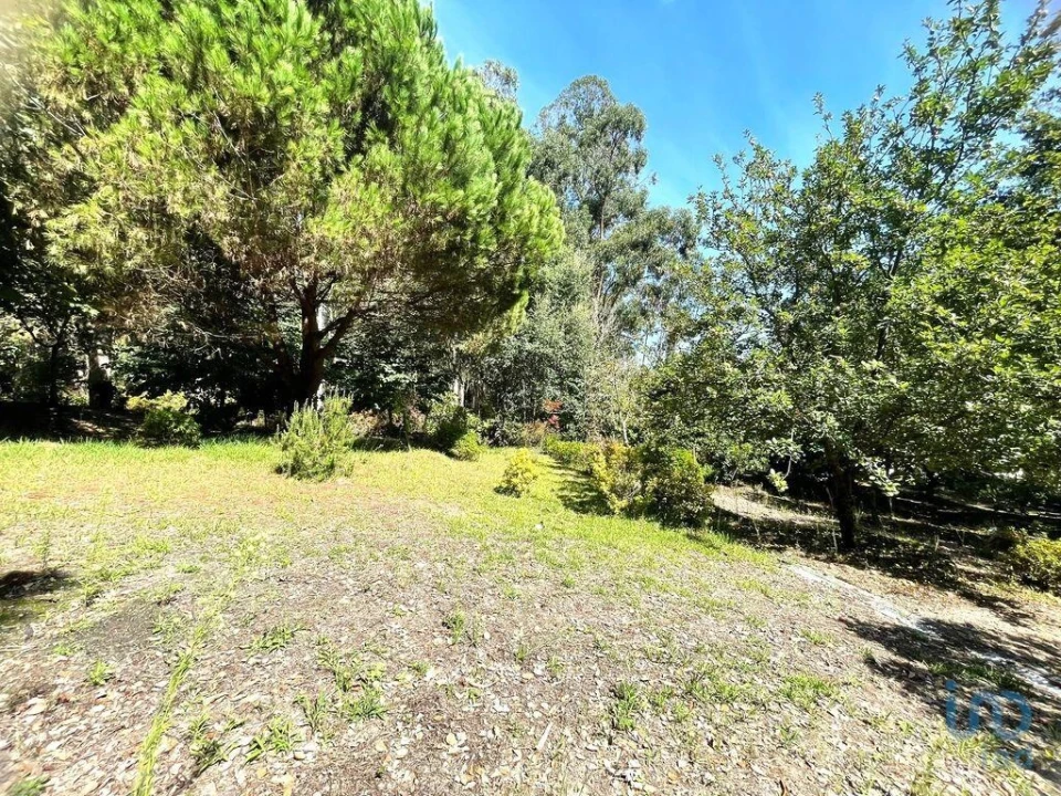 Terreno para Venda em Durrães e Tregosa Foto 3