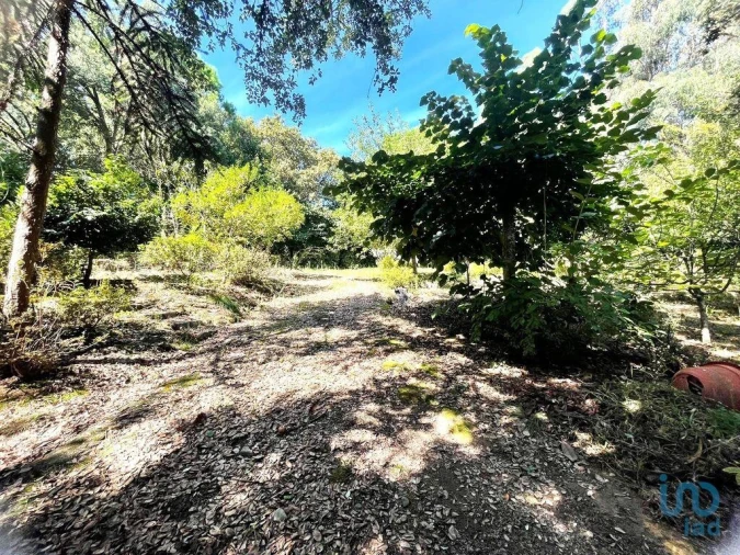 Terreno para Venda em Durrães e Tregosa Foto 2