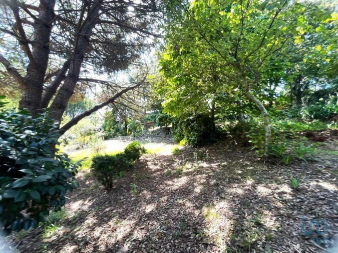 Terreno para Venda em Durrães e Tregosa Foto 5