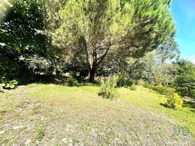 Terreno para Venda em Durrães e Tregosa Foto 4