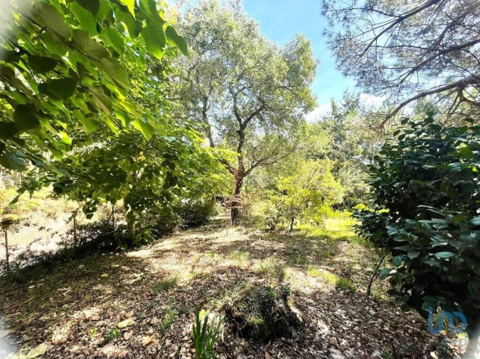 Terreno para Venda em Durrães e Tregosa Foto 6