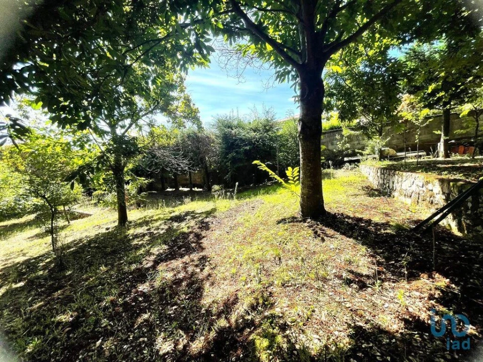 Terreno para Venda em Durrães e Tregosa Foto 8