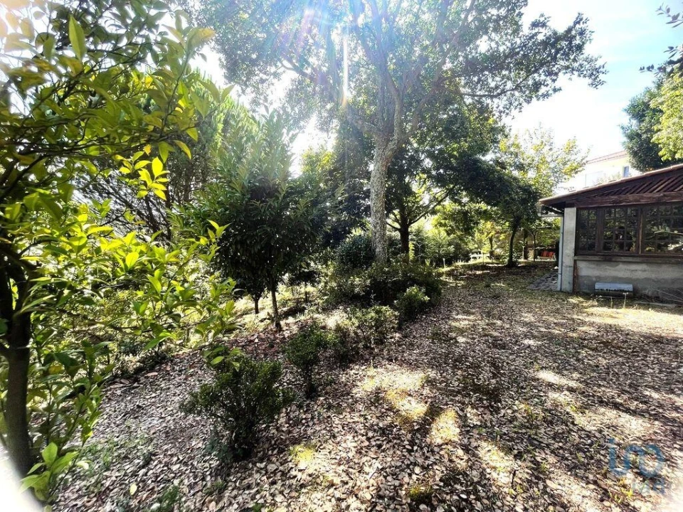 Terreno para Venda em Durrães e Tregosa Foto 7