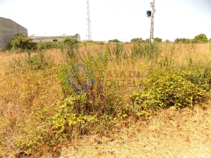 Terreno para Venda em Anta e Guetim Foto 5