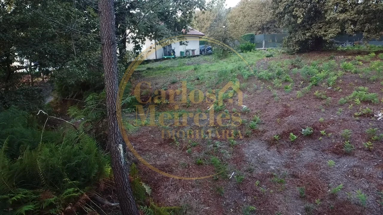 Terreno para Venda em Ribeira do Neiva Foto 1