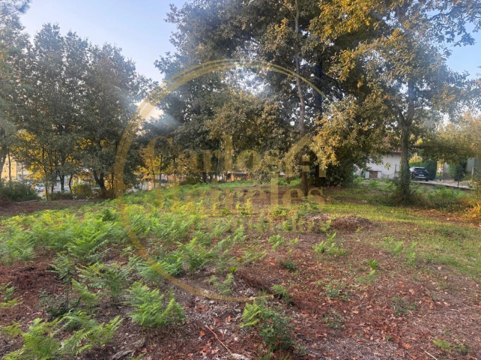 Terreno para Venda em Ribeira do Neiva Foto 3