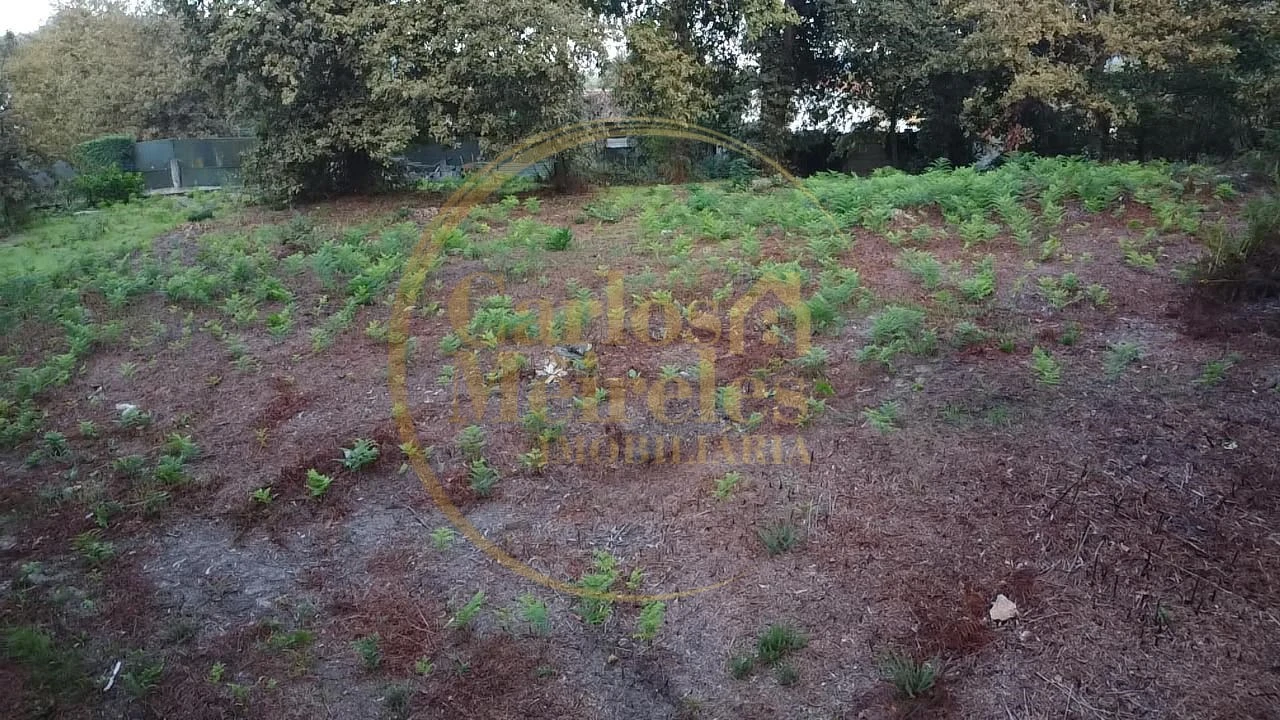 Terreno para Venda em Ribeira do Neiva Foto 5