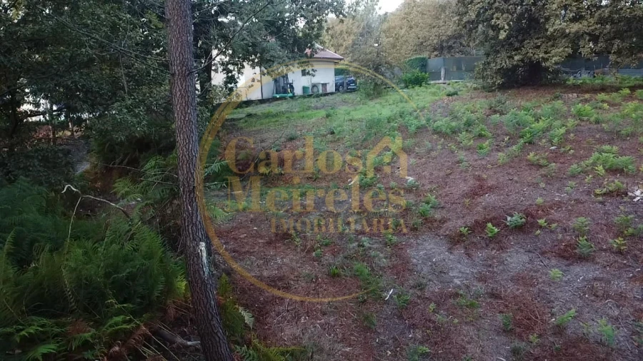 Terreno para Venda em Ribeira do Neiva