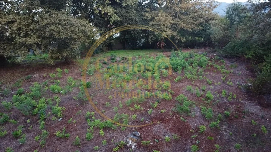 Terreno para Venda em Ribeira do Neiva Foto 2