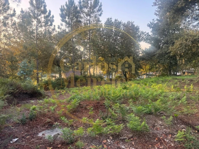 Terreno para Venda em Ribeira do Neiva Foto 4