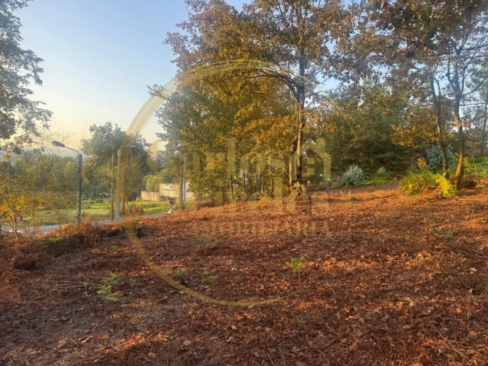Terreno para Venda em Gême Foto 1