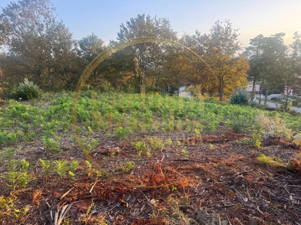 Terreno para Venda em Gême Foto 3