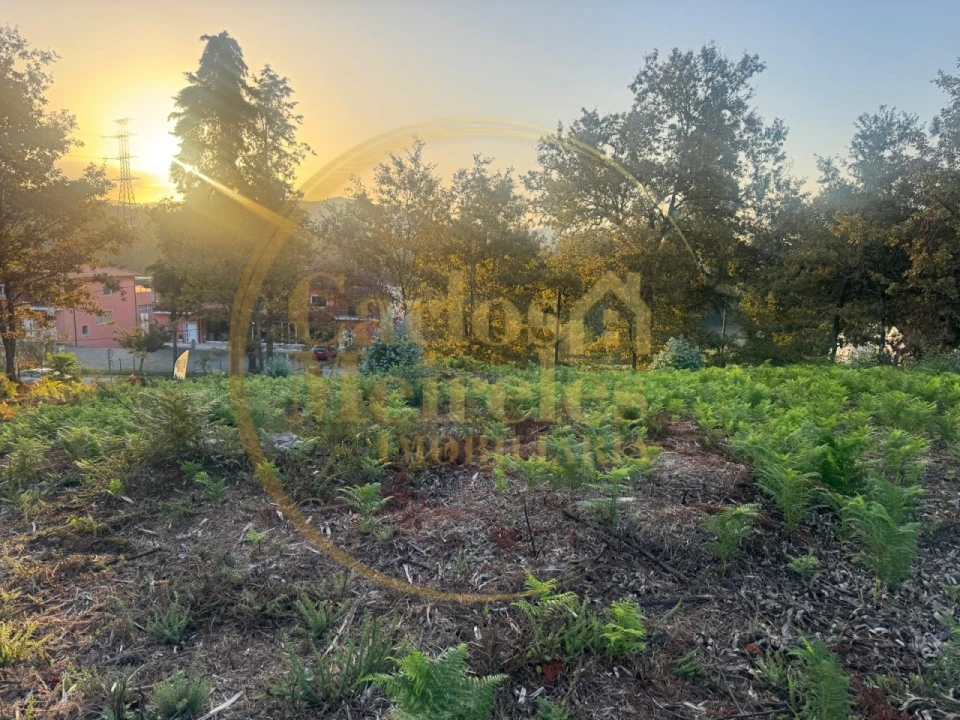 Terreno para Venda em Gême Foto 4