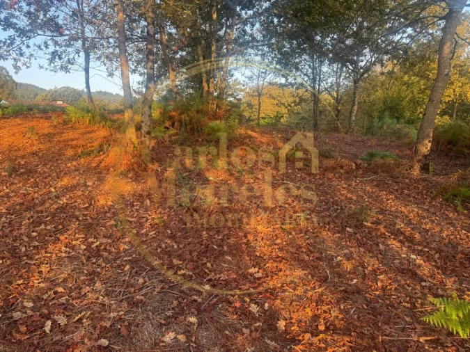 Terreno para Venda em Gême Foto 3