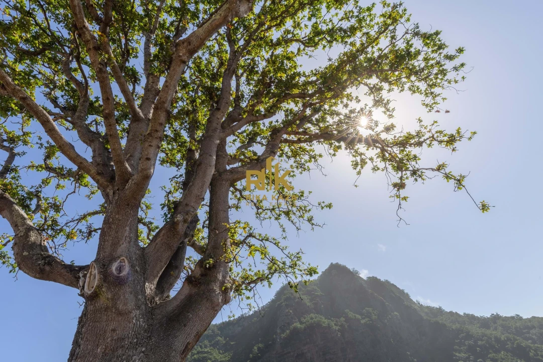 Moradia T5 para Venda em Faial Foto 16