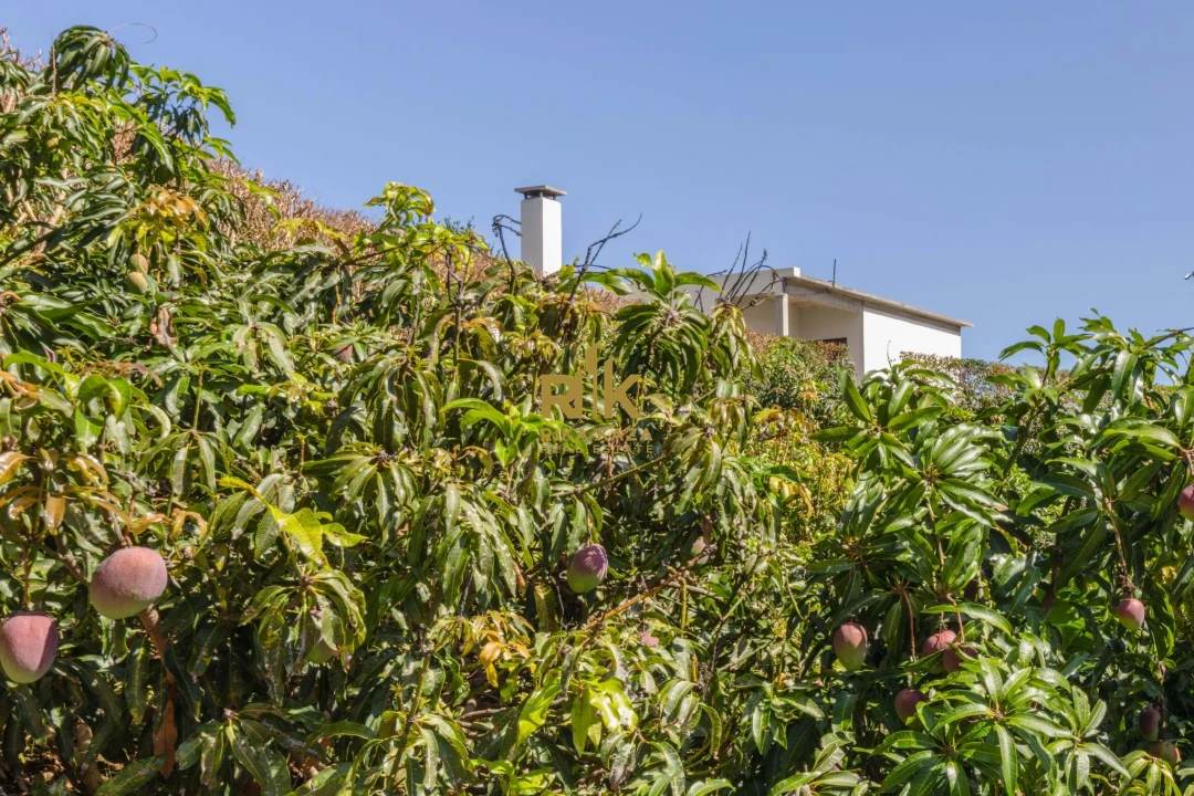 Moradia T5 para Venda em Faial Foto 18