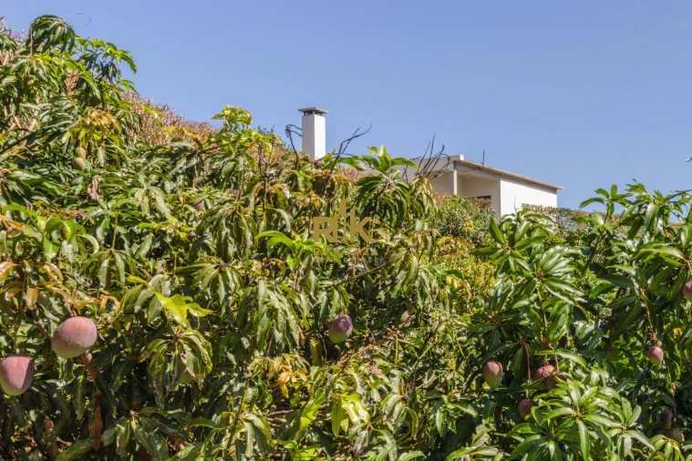 Moradia T5 para Venda em Faial Foto 18