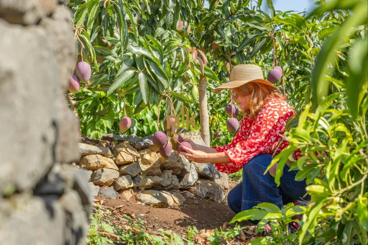 Moradia T5 para Venda em Faial Foto 17