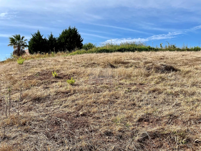 Terreno para Venda em Santa Maria, São Pedro e Matacães Foto 13
