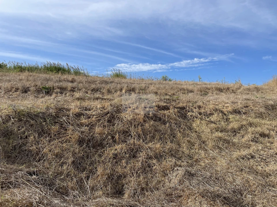 Terreno para Venda em Santa Maria, São Pedro e Matacães Foto 5