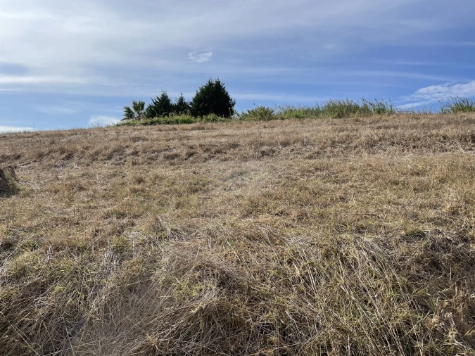 Terreno para Venda em Santa Maria, São Pedro e Matacães Foto 8