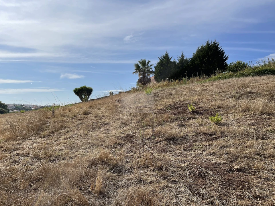 Terreno para Venda em Santa Maria, São Pedro e Matacães Foto 4