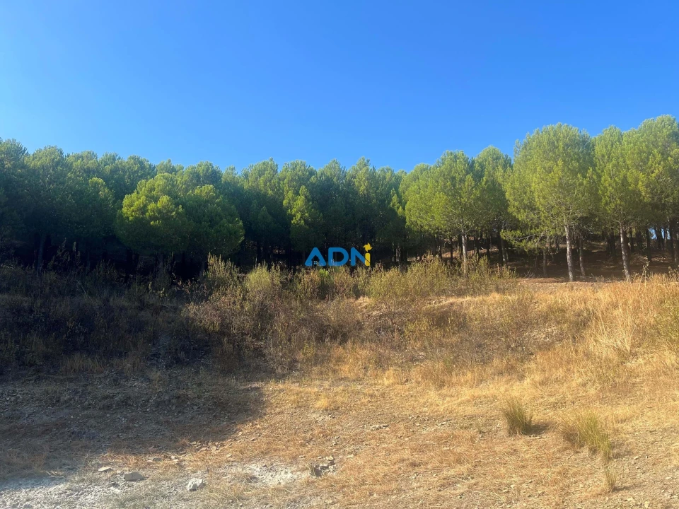 Quinta para Venda em Castelo Branco Foto 22