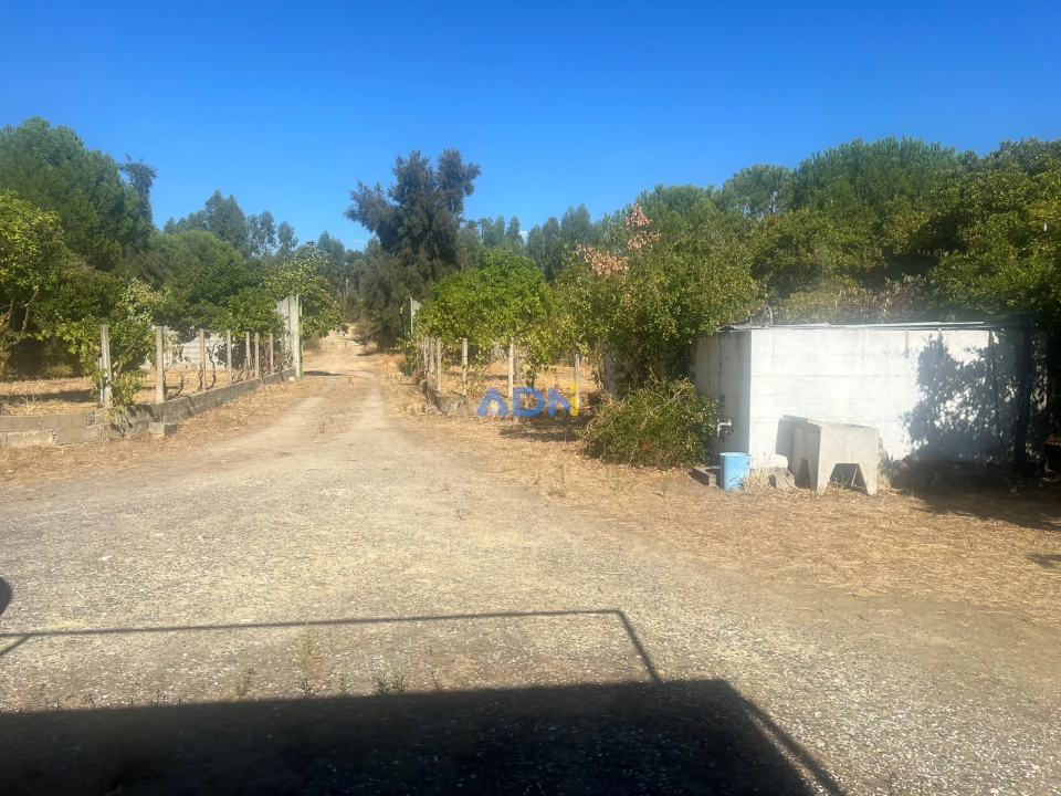Quinta para Venda em Castelo Branco Foto 9