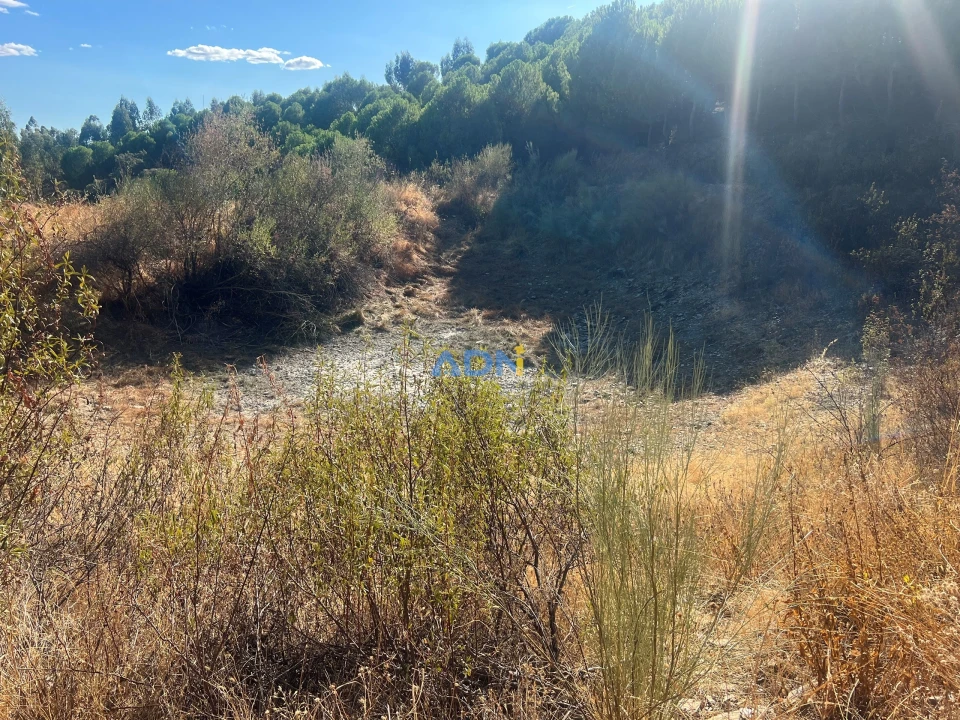 Quinta para Venda em Castelo Branco Foto 17