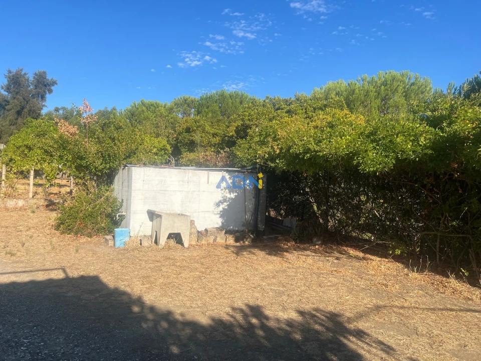 Quinta para Venda em Castelo Branco Foto 29
