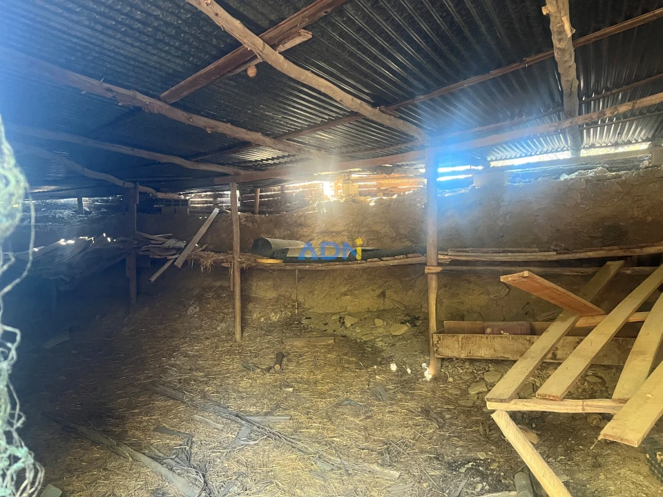 Quinta para Venda em Castelo Branco Foto 16