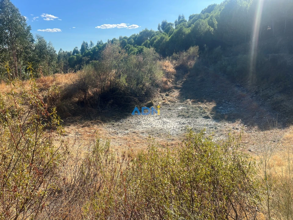 Quinta para Venda em Castelo Branco Foto 18