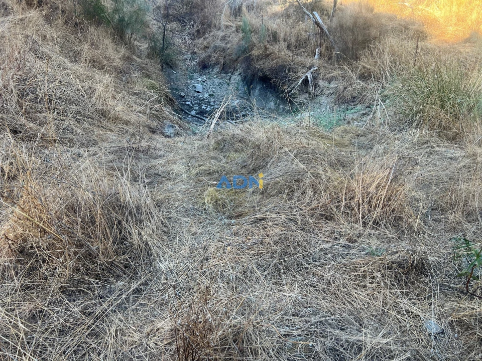 Quinta para Venda em Castelo Branco Foto 26