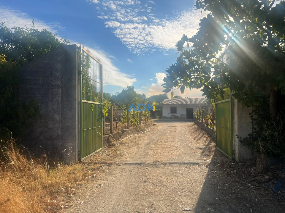 Quinta para Venda em Castelo Branco Foto 4