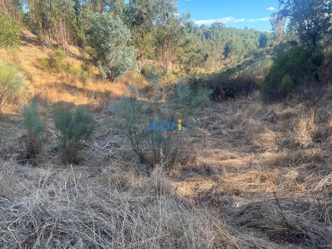 Quinta para Venda em Castelo Branco Foto 25