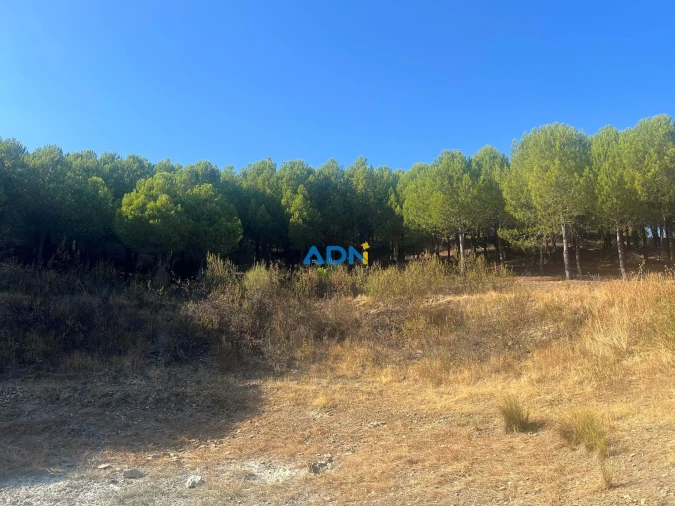 Quinta para Venda em Castelo Branco Foto 22