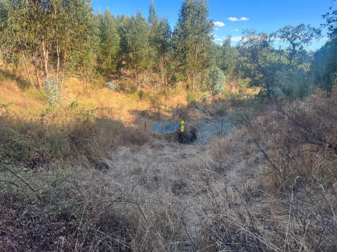 Quinta para Venda em Castelo Branco Foto 23