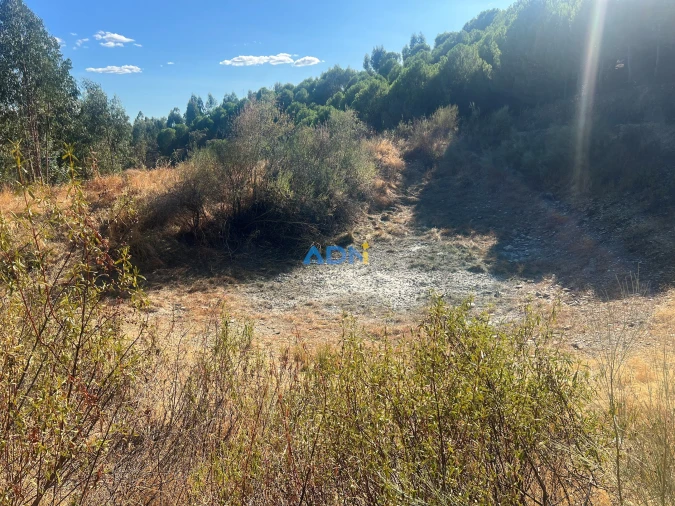 Quinta para Venda em Castelo Branco Foto 18