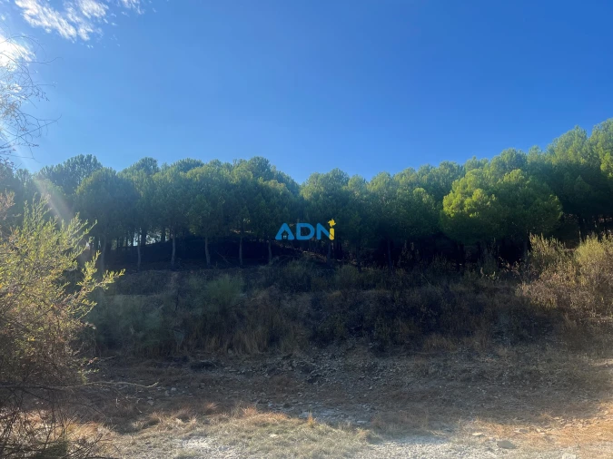 Quinta para Venda em Castelo Branco Foto 21