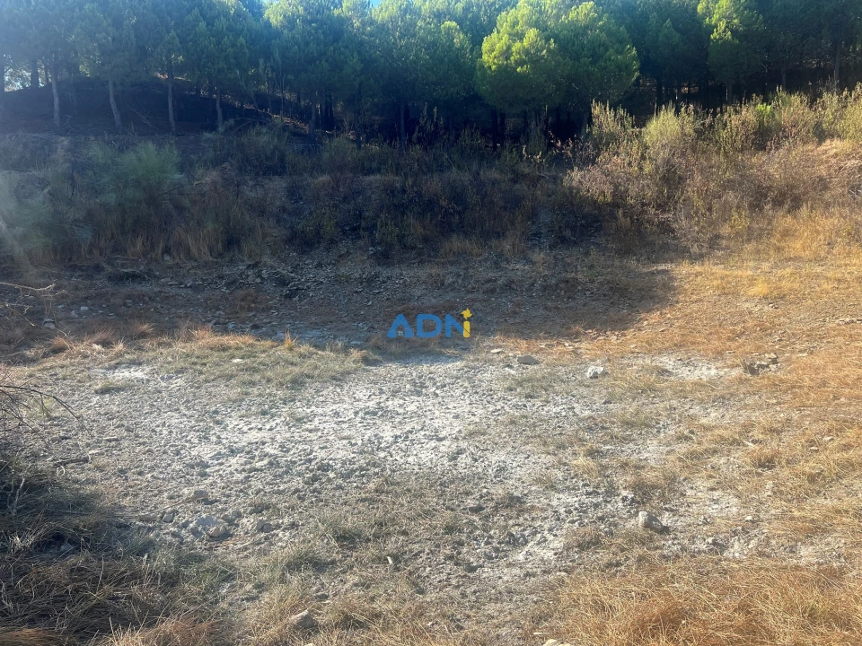 Quinta para Venda em Castelo Branco Foto 20
