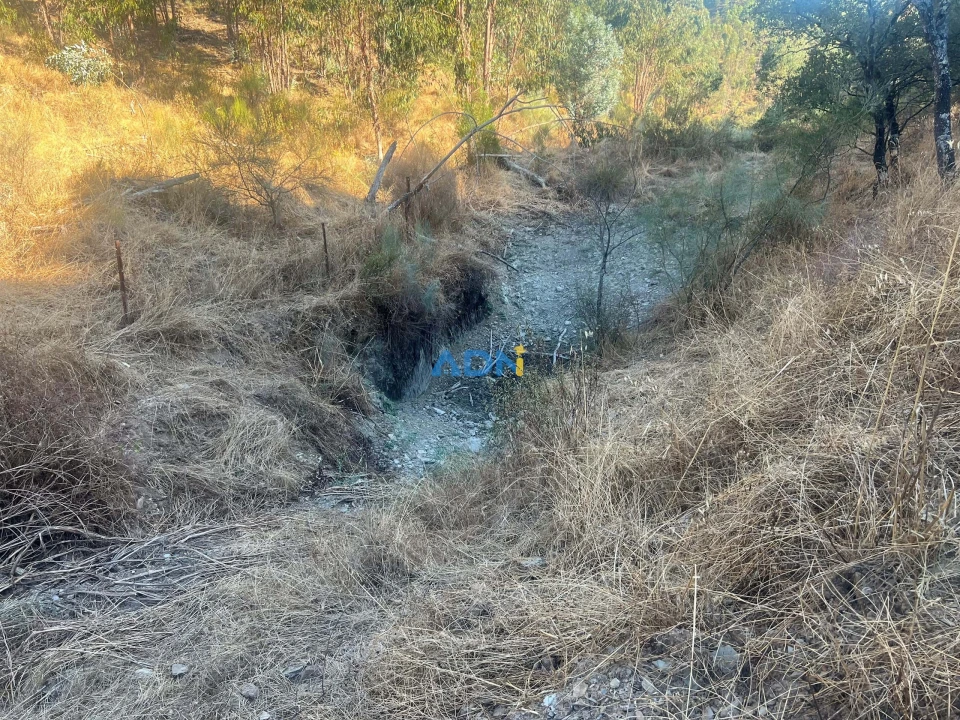 Quinta para Venda em Castelo Branco Foto 24